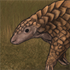 Pet Pangolin 